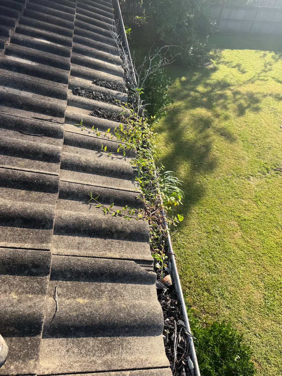 Before gutter cleaning in Sydney