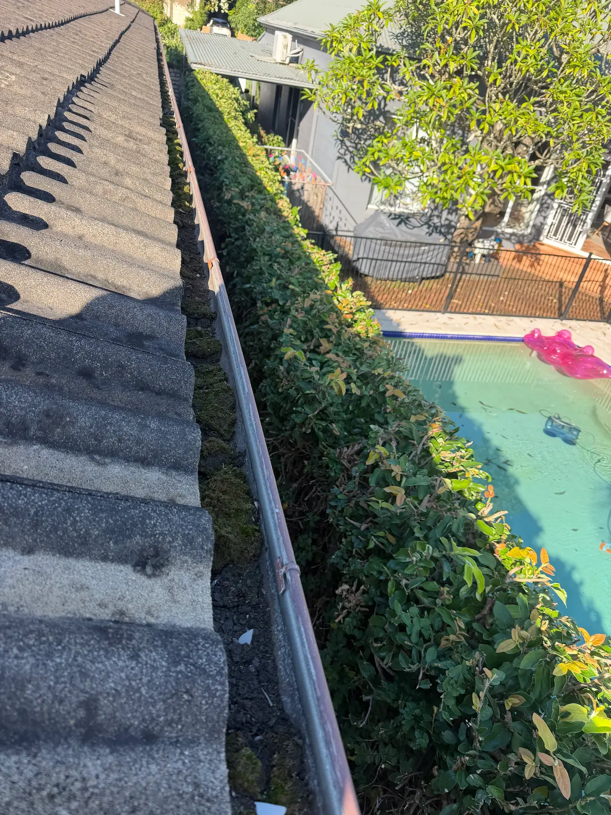 Before gutter cleaning in Sydney