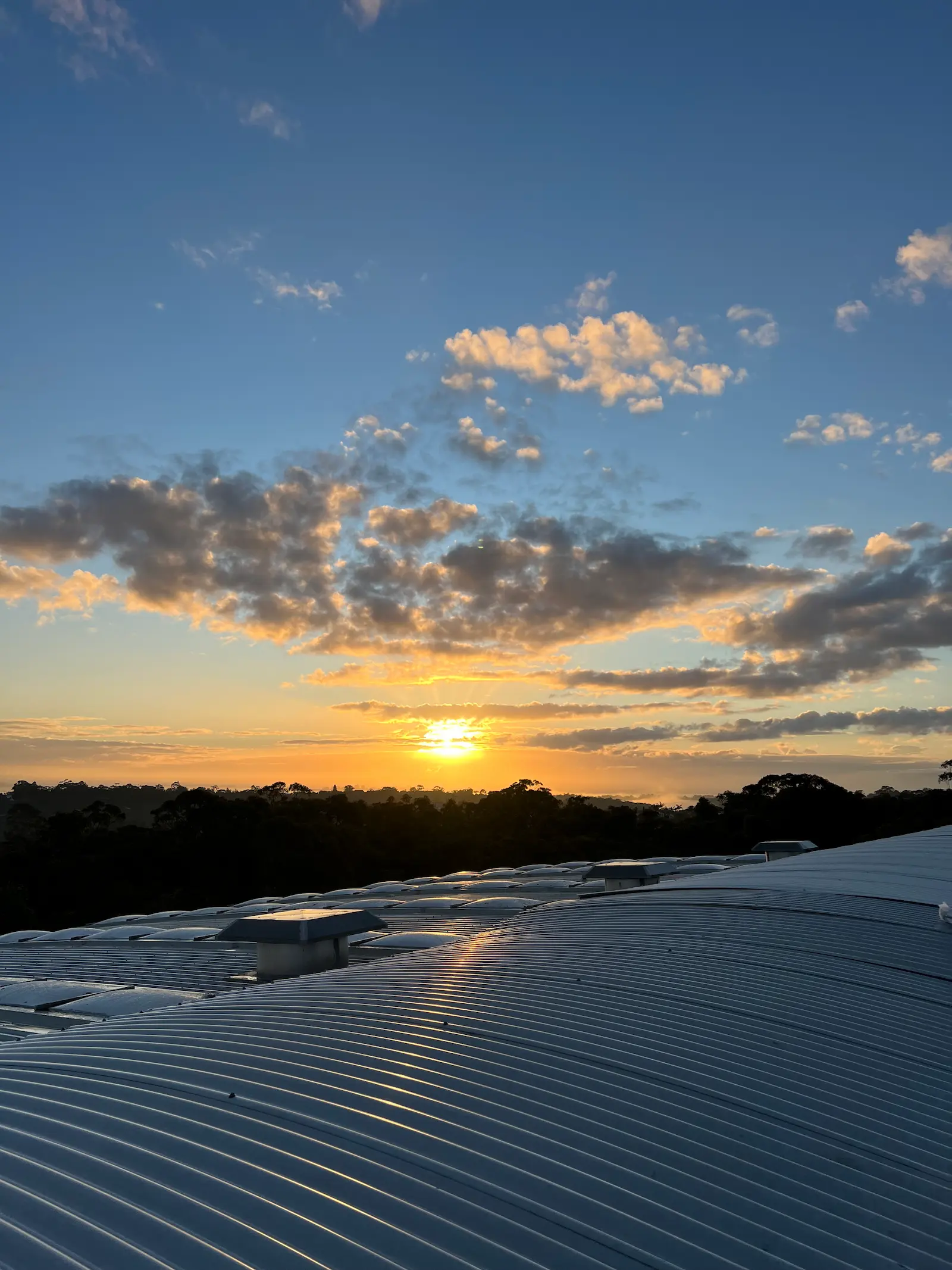 Precision Flow Gutters working on a Sydney property